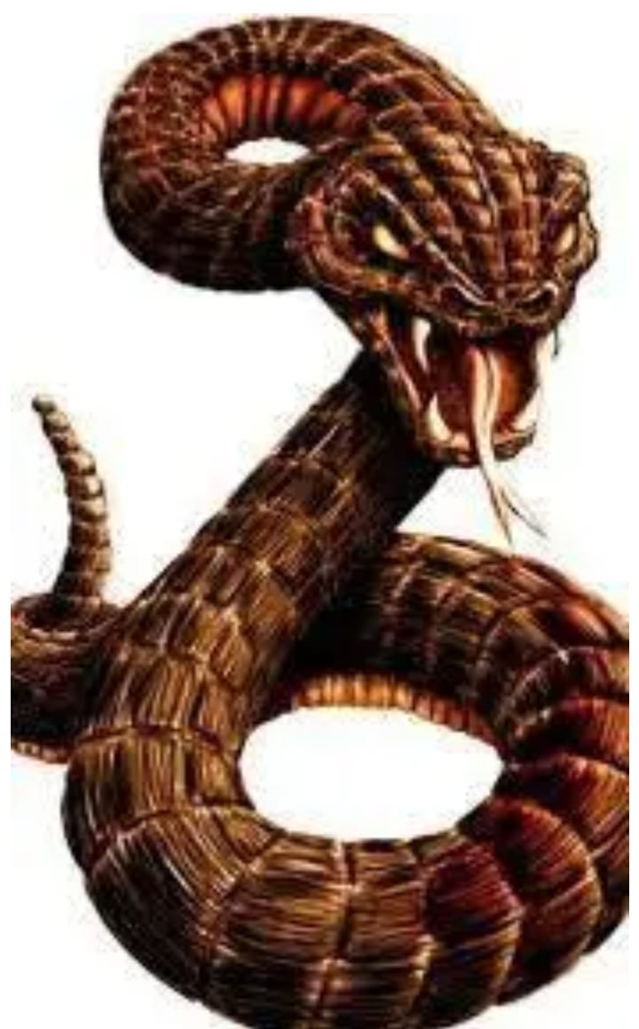 Snakes to Bring You Money